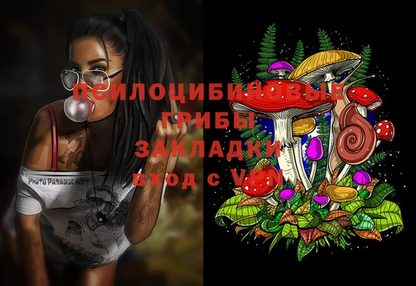 ECSTASY Арсеньев