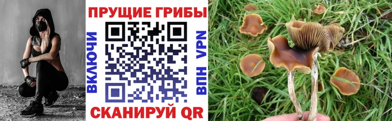 ссылка на мегу ONION Ленск Псилоцибиновые грибы ЛСД